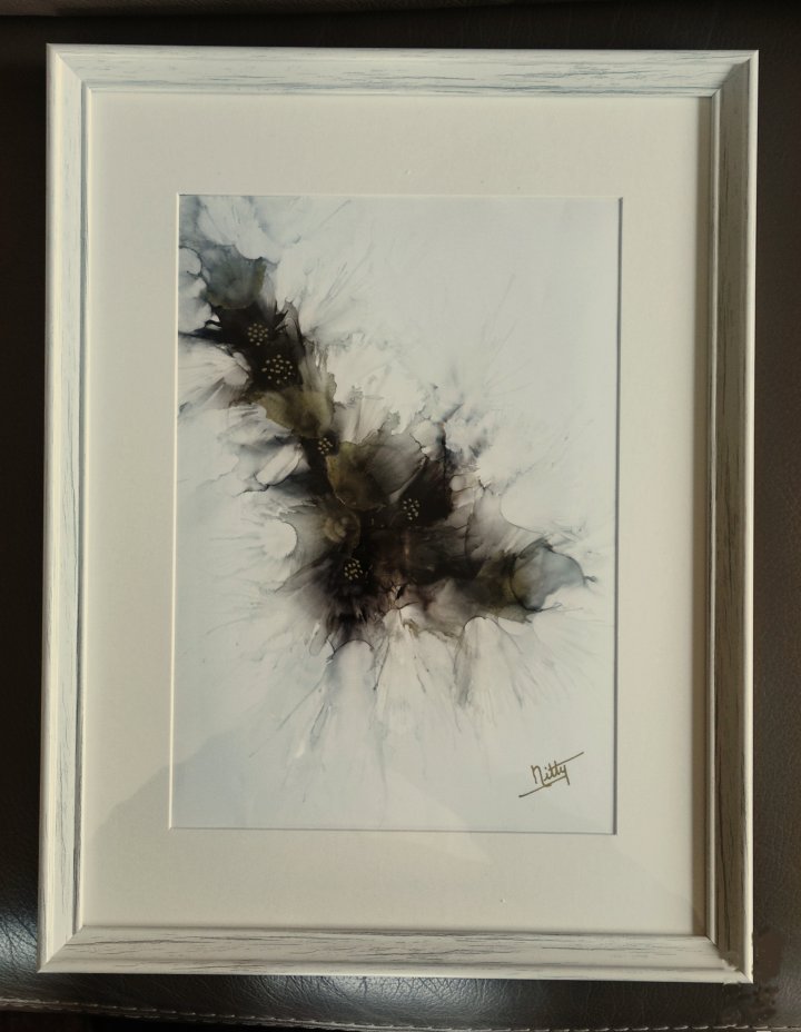 Numéro 1 - encadré